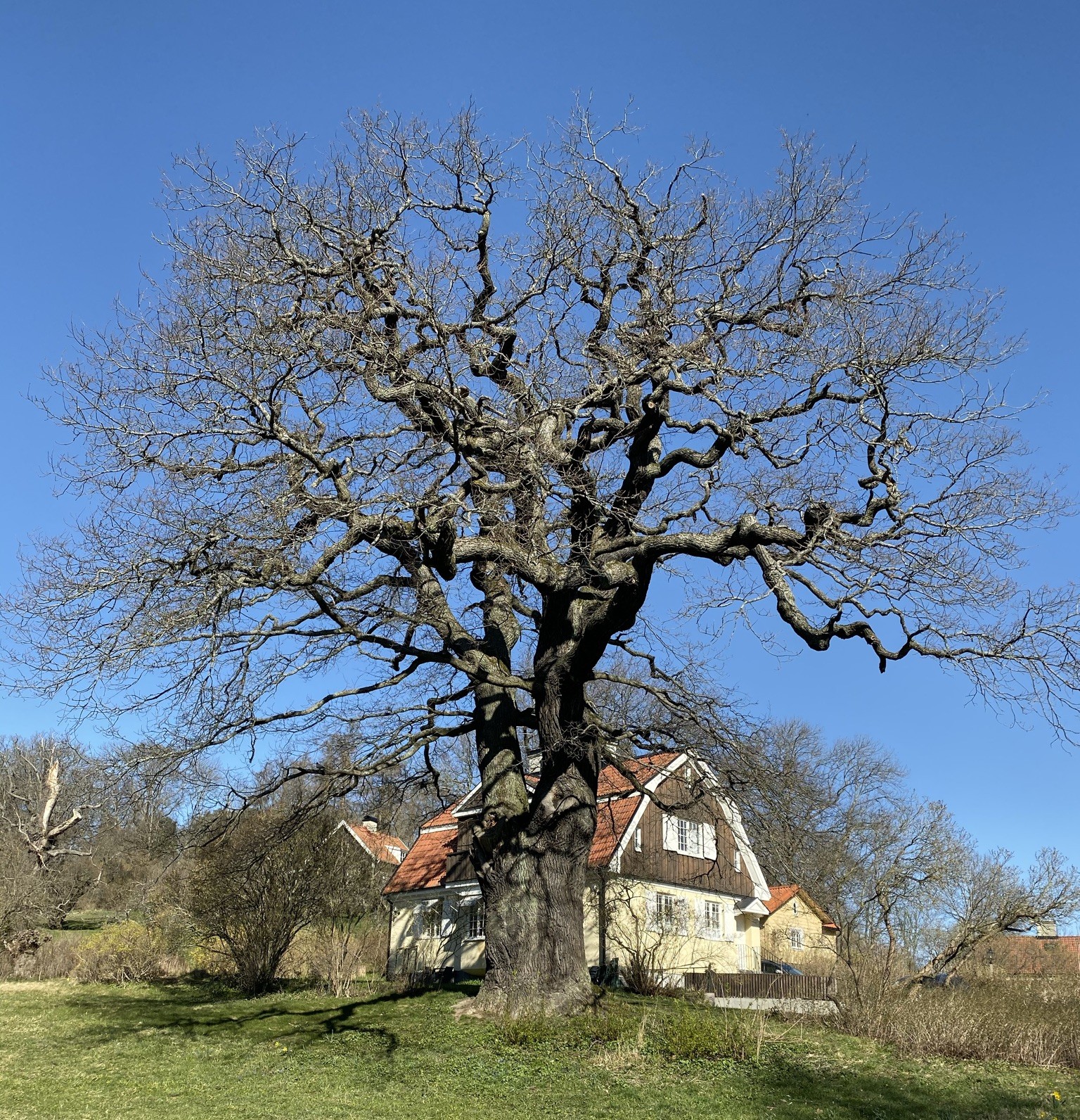 Stenhällen med böljeslagsmärken.