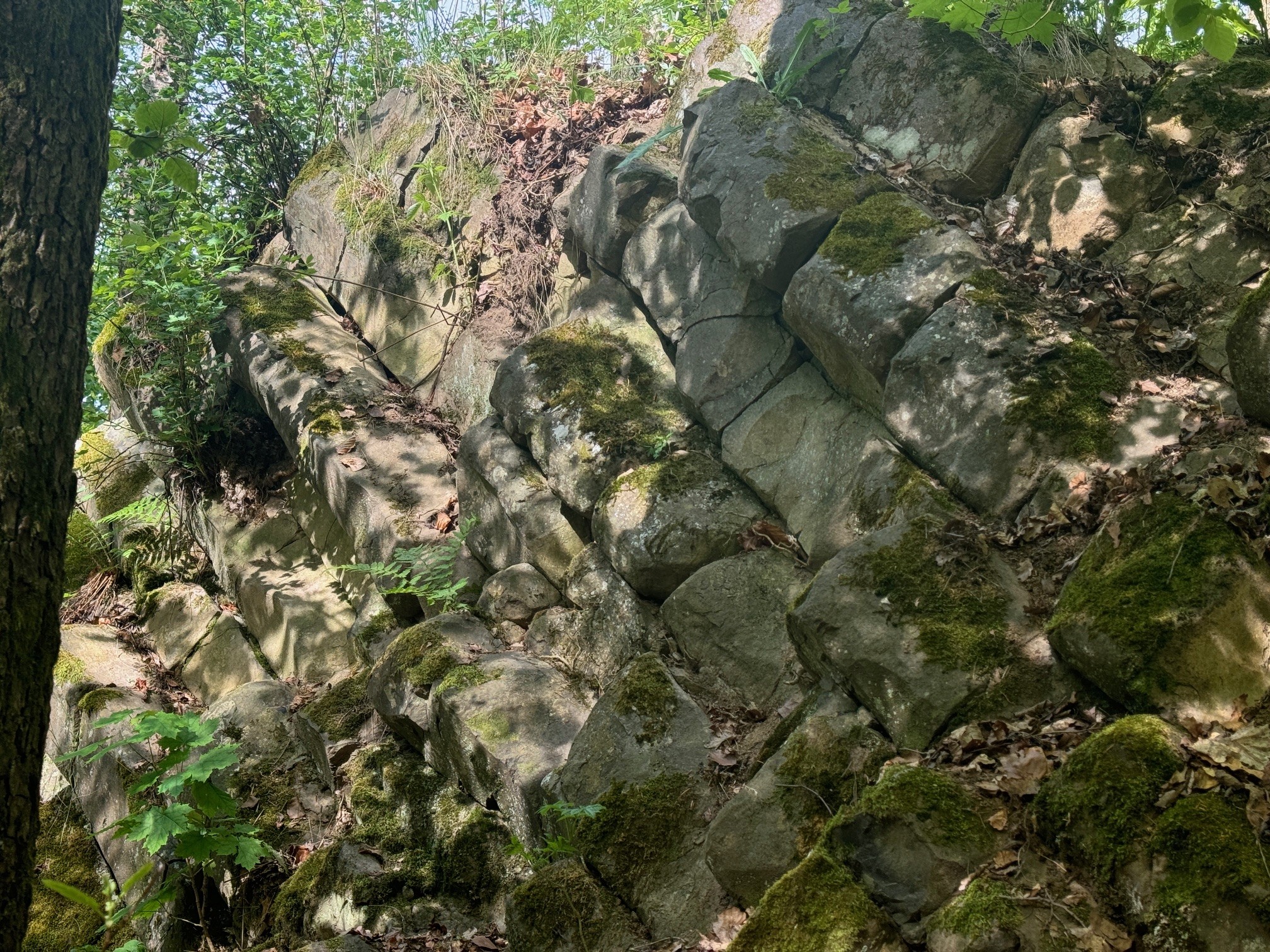 Stenhällen med böljeslagsmärken.