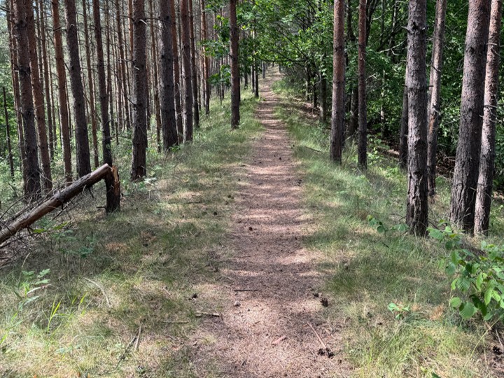 Stenhällen med böljeslagsmärken.