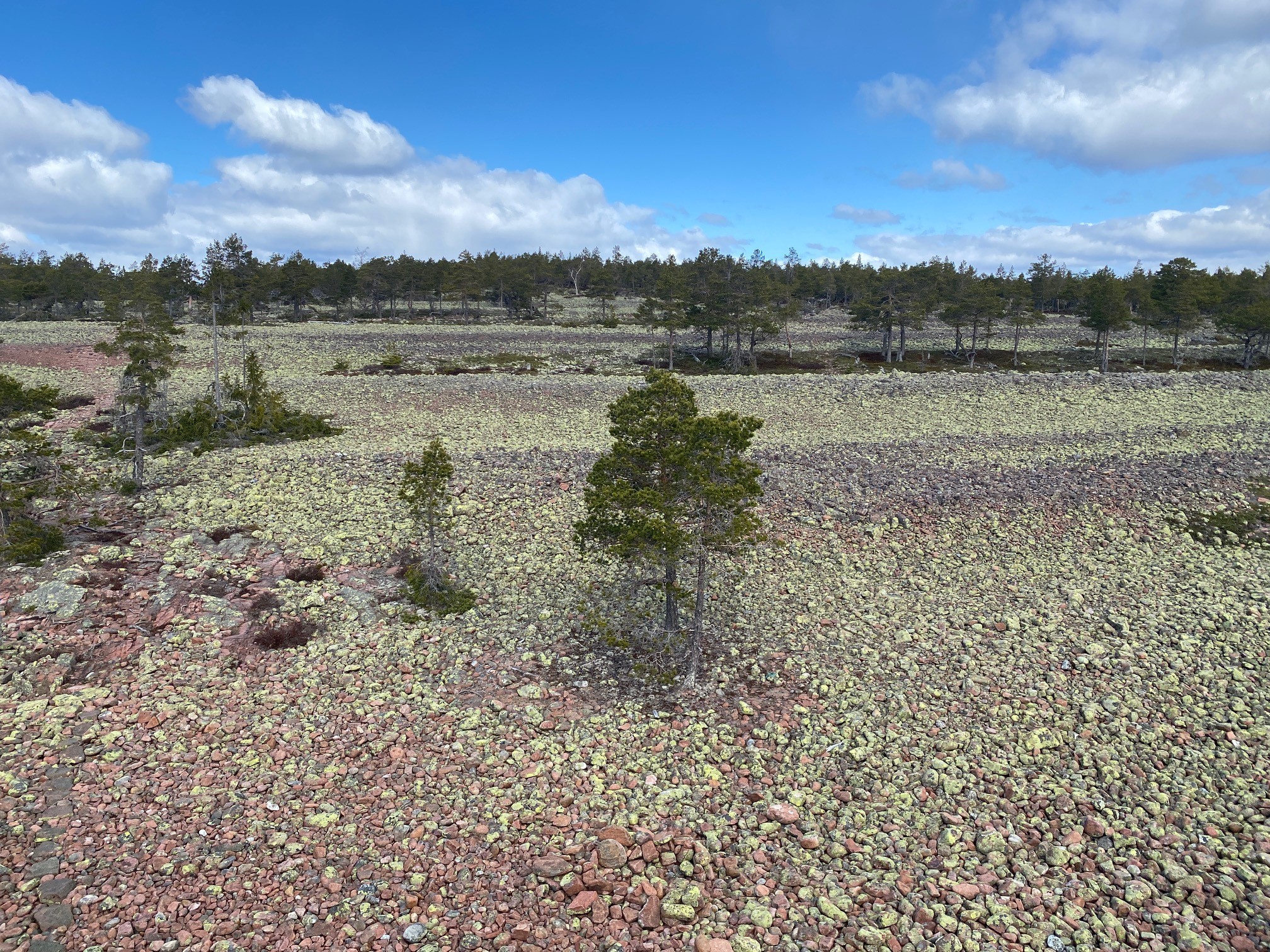 Stenhällen med böljeslagsmärken.